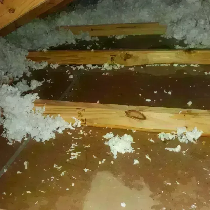 Attic Water Damage in West Baton Rouge Parish, LA